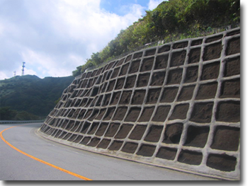 箱根ターンパイク法面完成写真